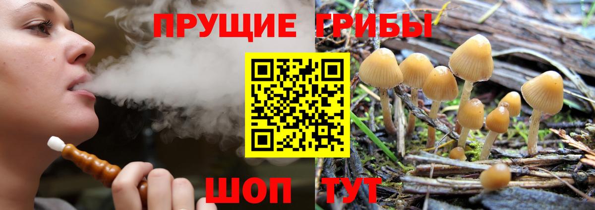 Галлюциногенные грибы прущие грибы Бирск