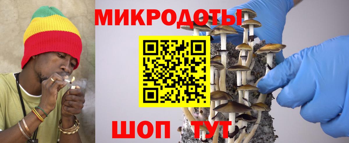 Бирск  Псилоцибиновые грибы прущие грибы  Псилоцибиновые грибы мицелий  Вход с VPN 